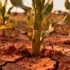 Maize Gene Discovery Opens New Path for Climate-Resilient Crops